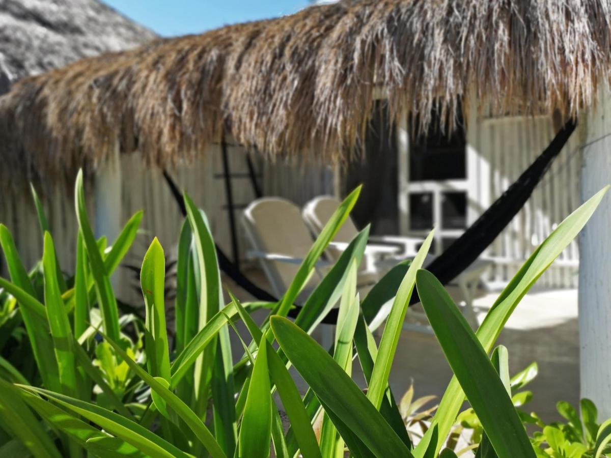 Coco Tulum Hotel ภายนอก รูปภาพ