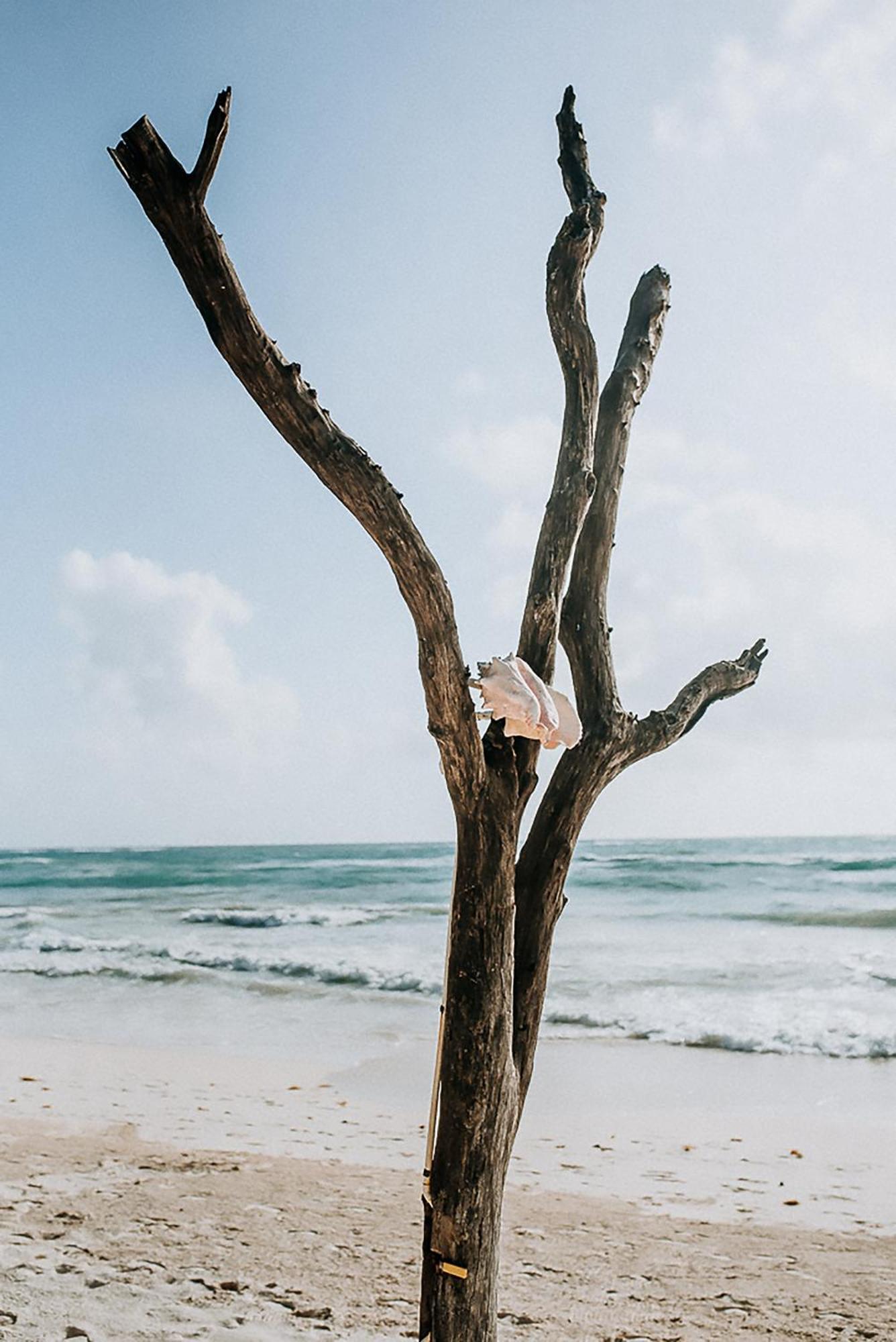 Coco Tulum Hotel ภายนอก รูปภาพ