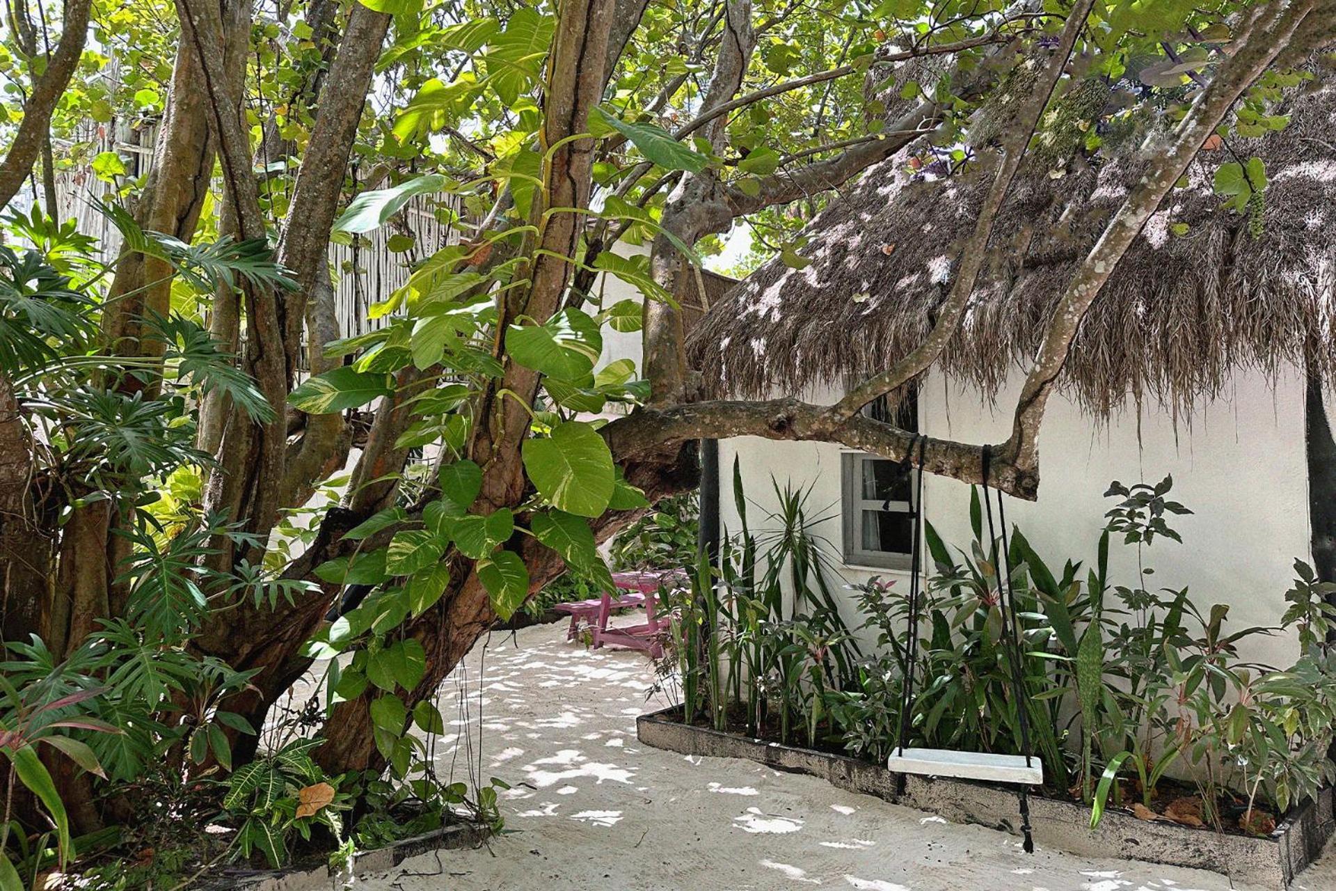 Coco Tulum Hotel ภายนอก รูปภาพ